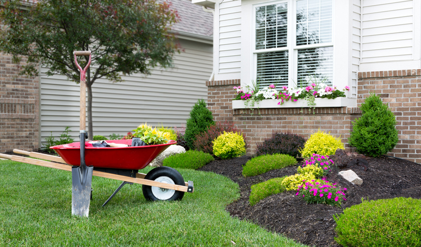 Best Home Exterior Cleaning Services in Tallahassee, FL