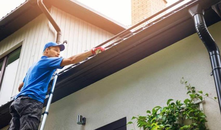 Best Home Exterior Cleaning Services in Tallahassee, FL