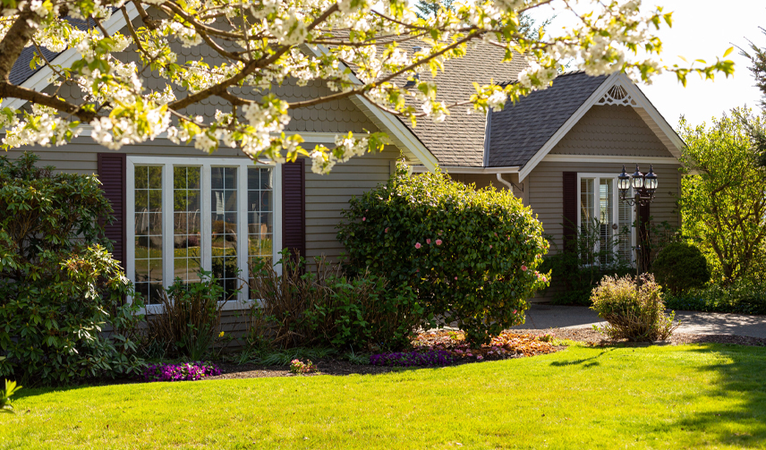 Best Home Exterior Cleaning Services in Tallahassee, FL