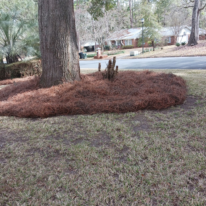 Best Staining & Varnishing in Tallahassee, FL